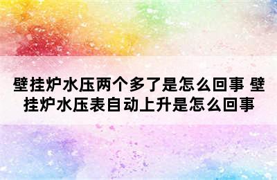 壁挂炉水压两个多了是怎么回事 壁挂炉水压表自动上升是怎么回事